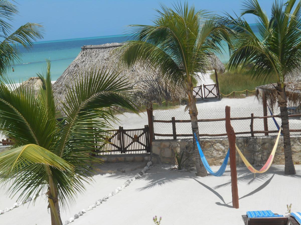 Aparthotel & Suites 3*