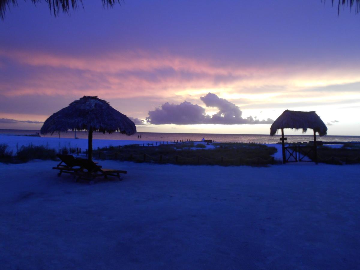 Aparthotel & Suites 3*