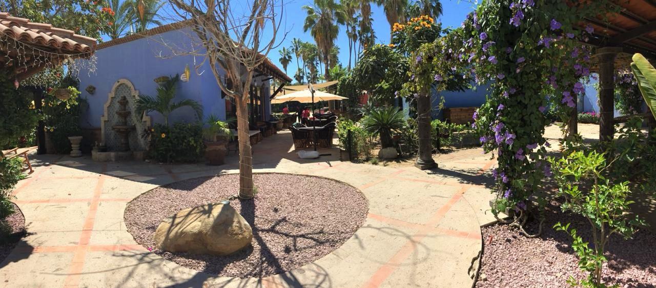 El Encanto & San Jose del Cabo