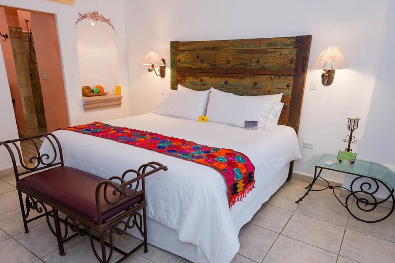 El Encanto & San Jose del Cabo