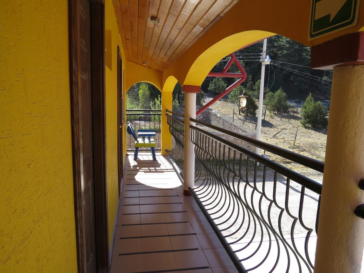 Ecologico Temazcal