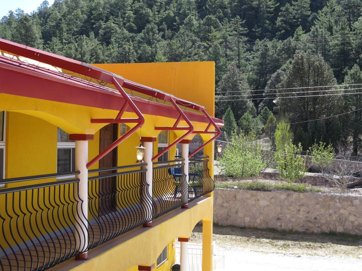 Ecologico Temazcal 2*