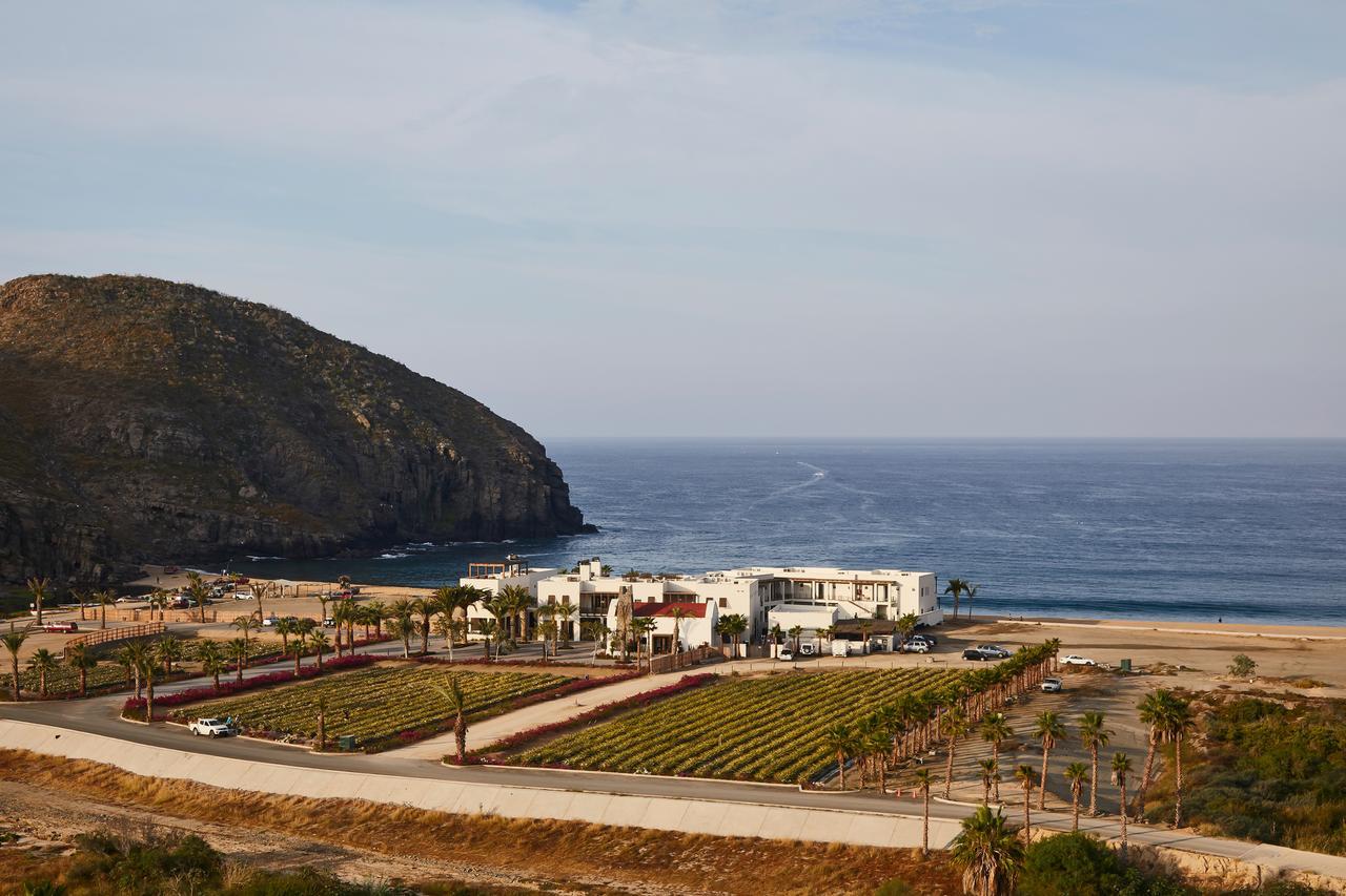 San Cristobal Adults 15+ 3* Todos Santos