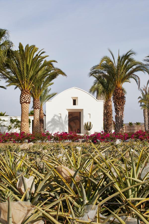 San Cristobal Adults 15+ Hotel Todos Santos