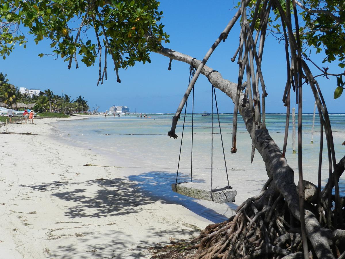 Lodge Palmeras De Mahahual