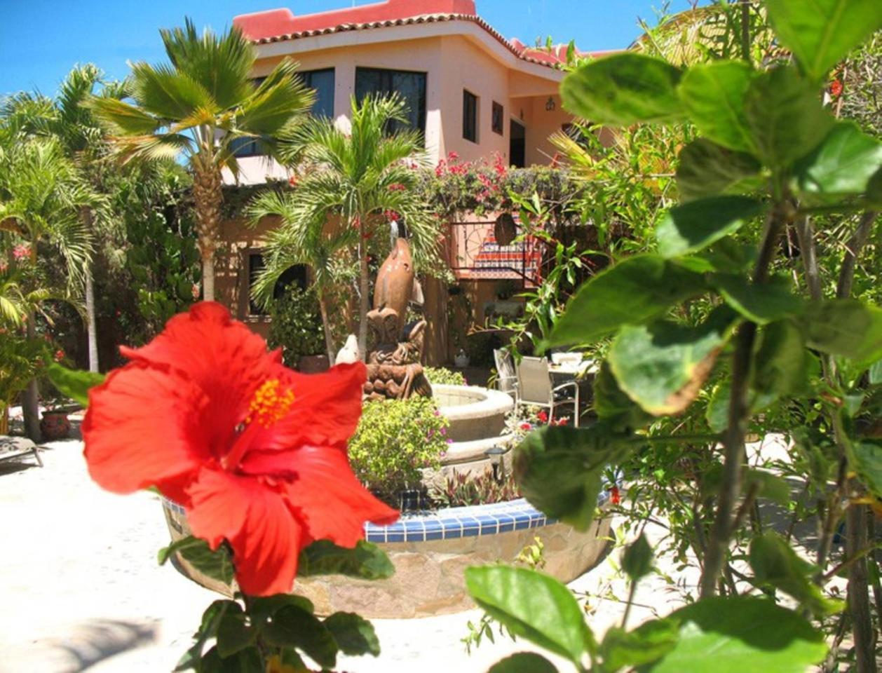 Hacienda De Palmas * La Ribera