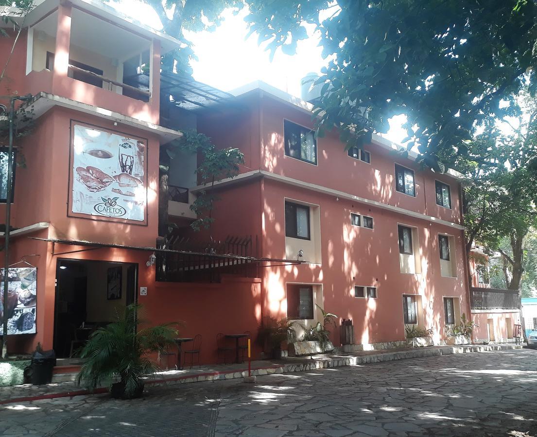 Maya Tulipanes Express Hotel