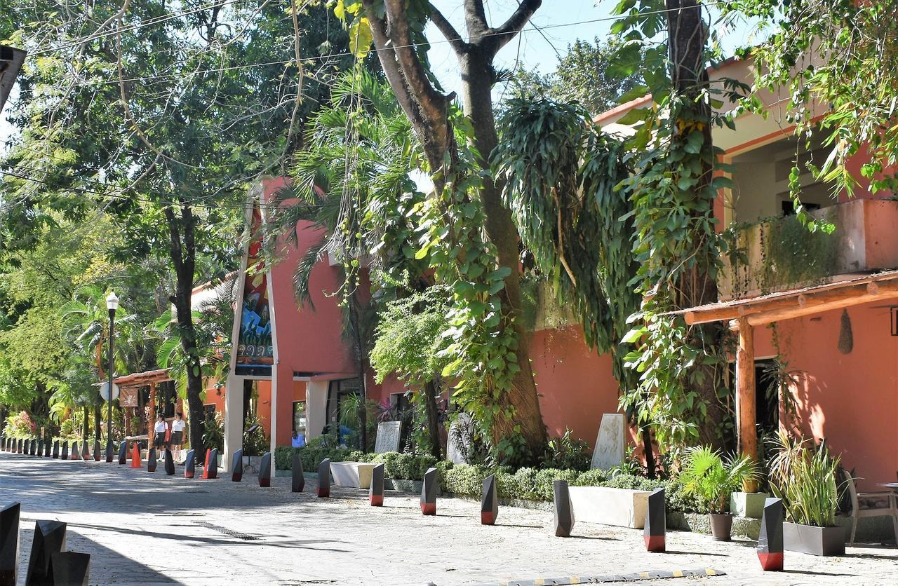 Maya Tulipanes Express