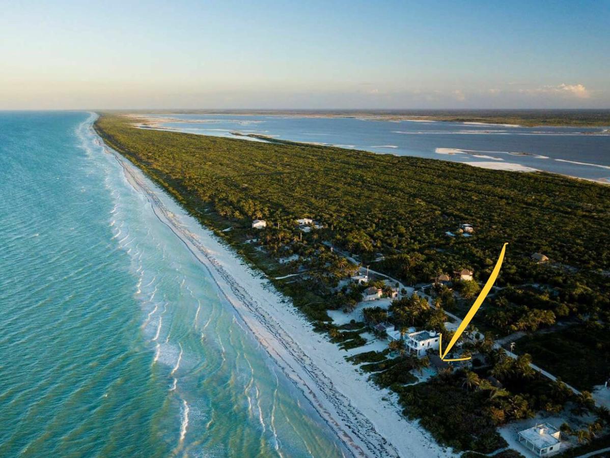 Ocean Dream Beachfront House Holiday home *