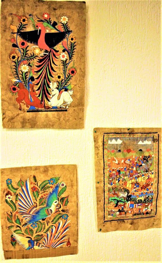 Guest house Casa Seloa Playa del Carmen