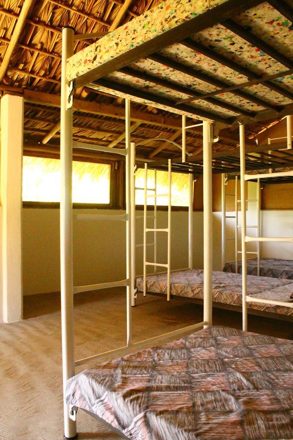 Dharma & Hostel *