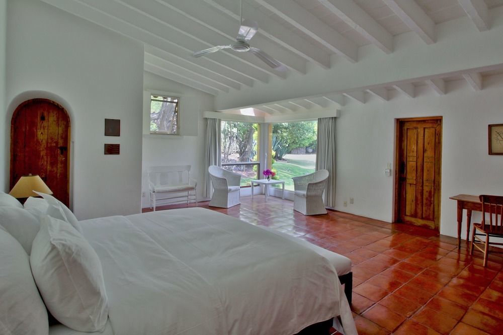 Amomoxtli Tepoztlan