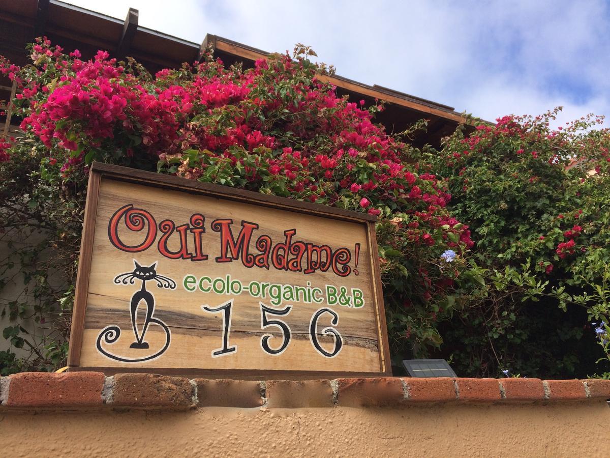 Oui Madame Bed & Breakfast 3*
