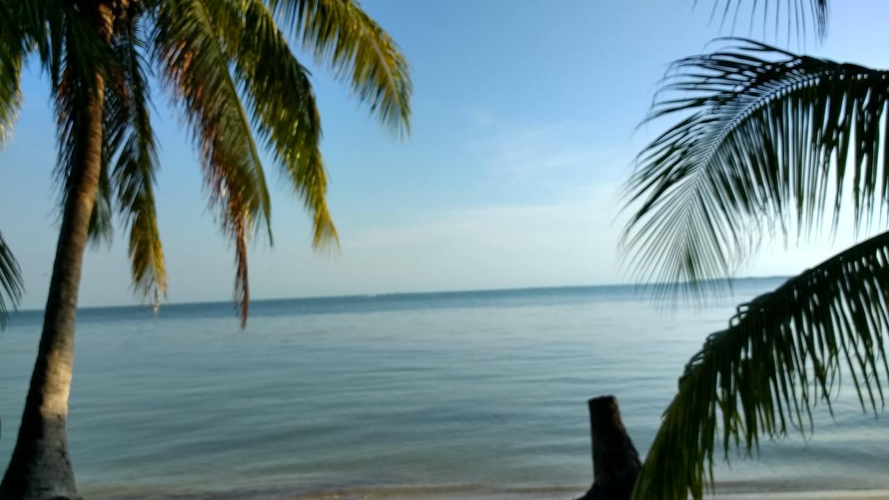 Freedom Shores 
