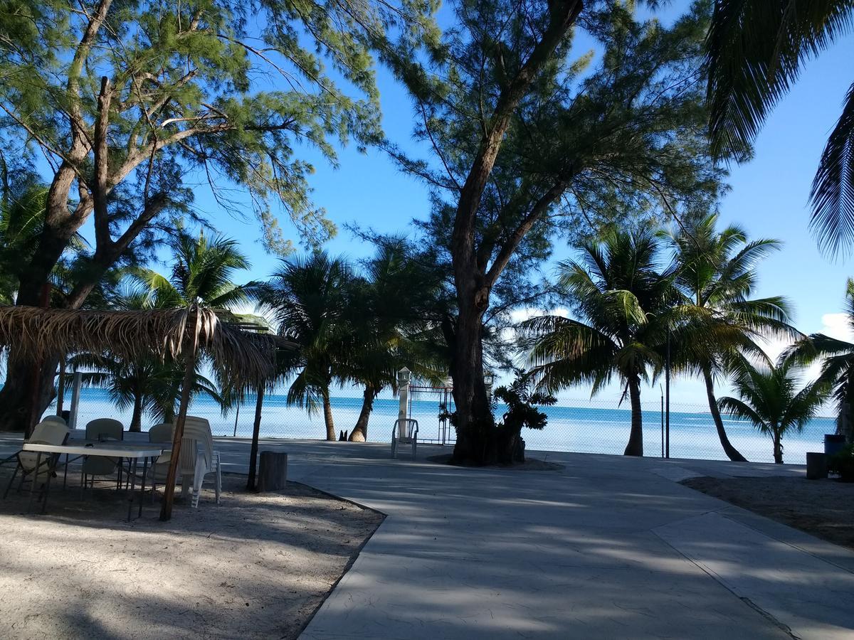 Freedom Shores 