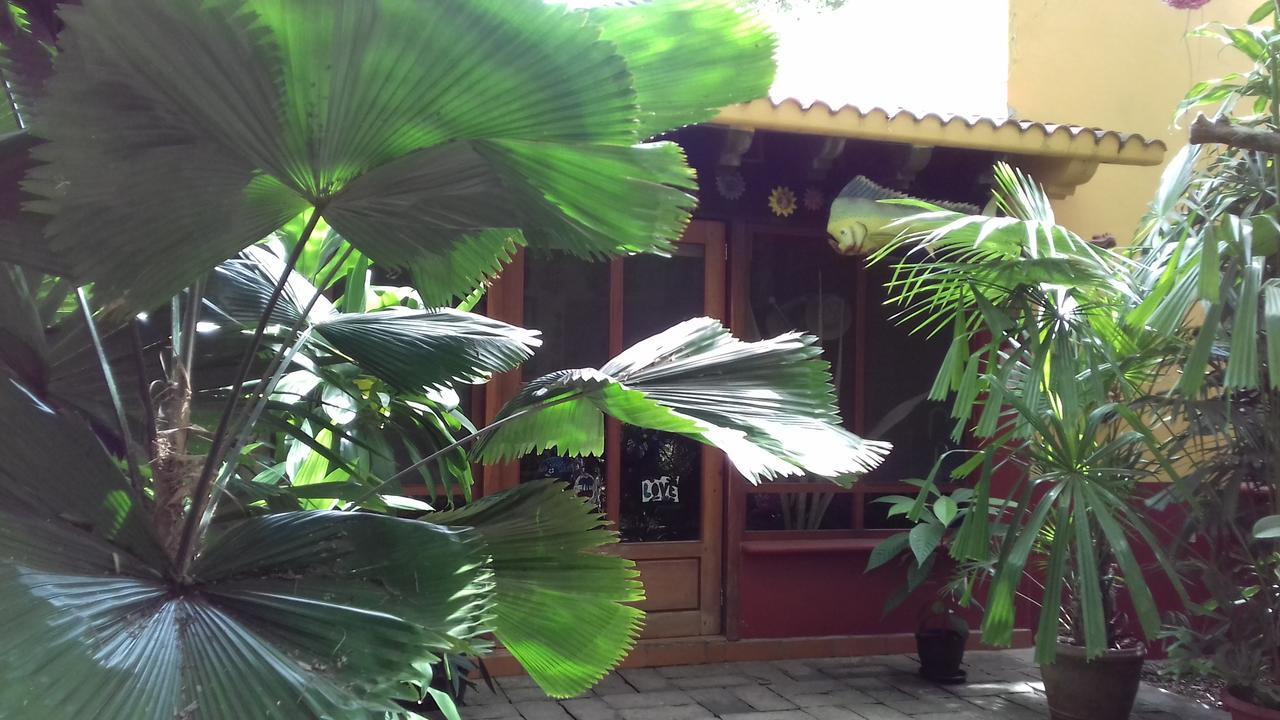Casa Kin33 Bed & Breakfast Cancun