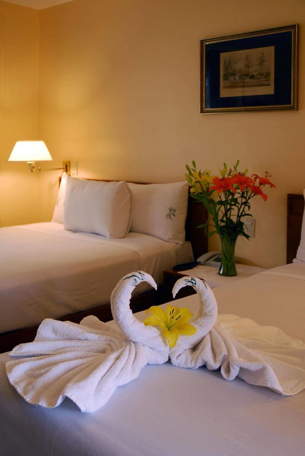 Hotel & Vergel 3*