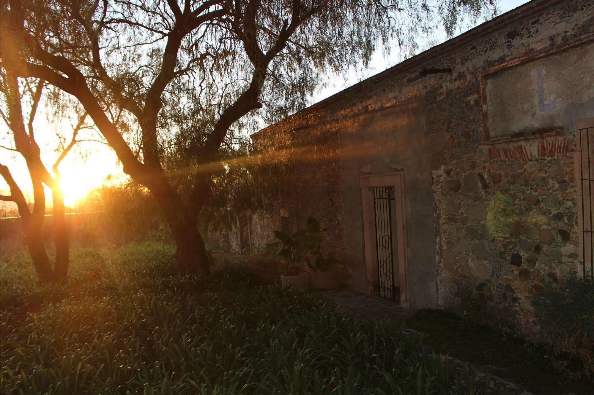 Living Spirit 5* San Miguel de Allende