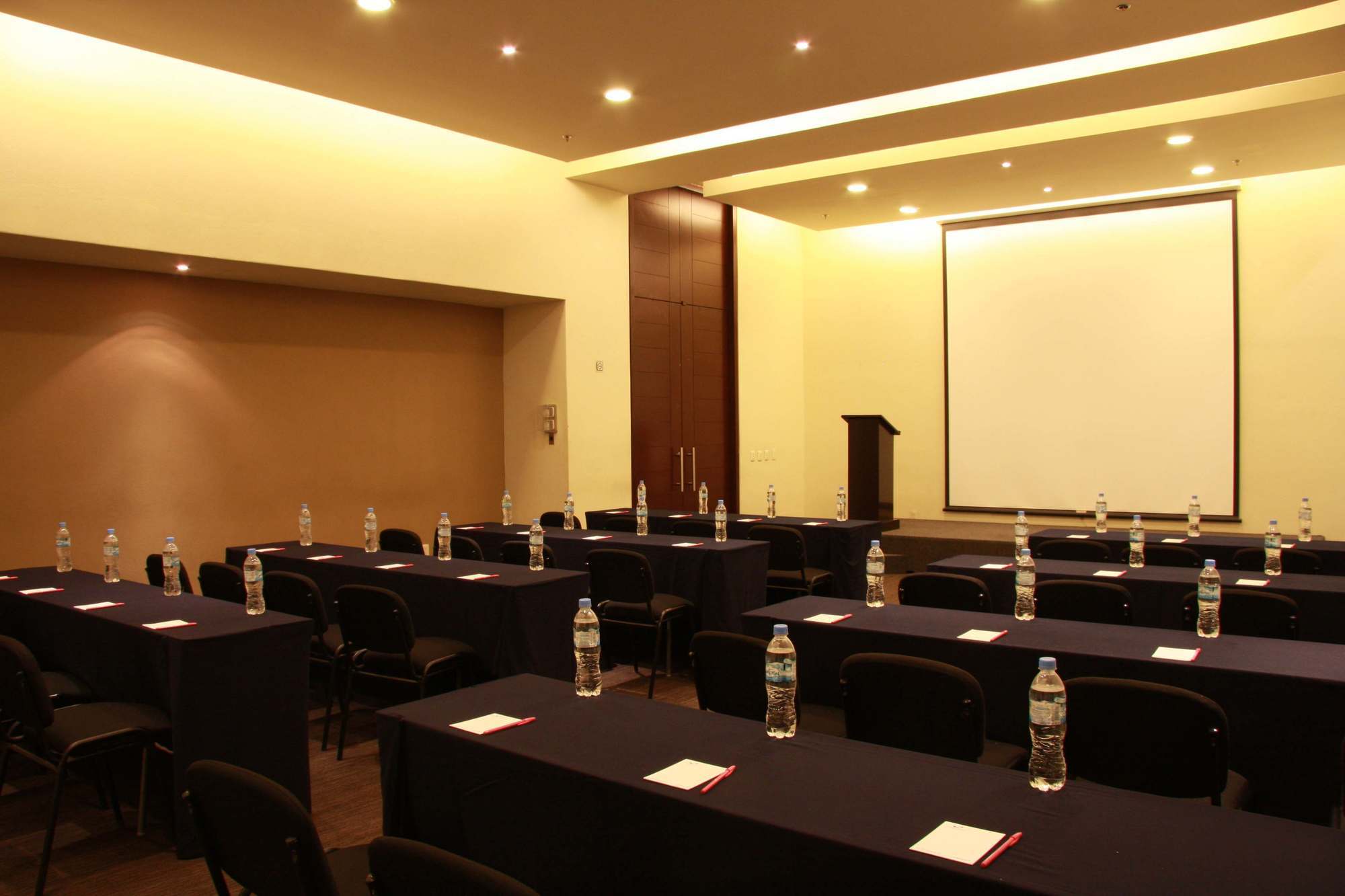 Hotel Victoria Ejecutivo Guadalajara