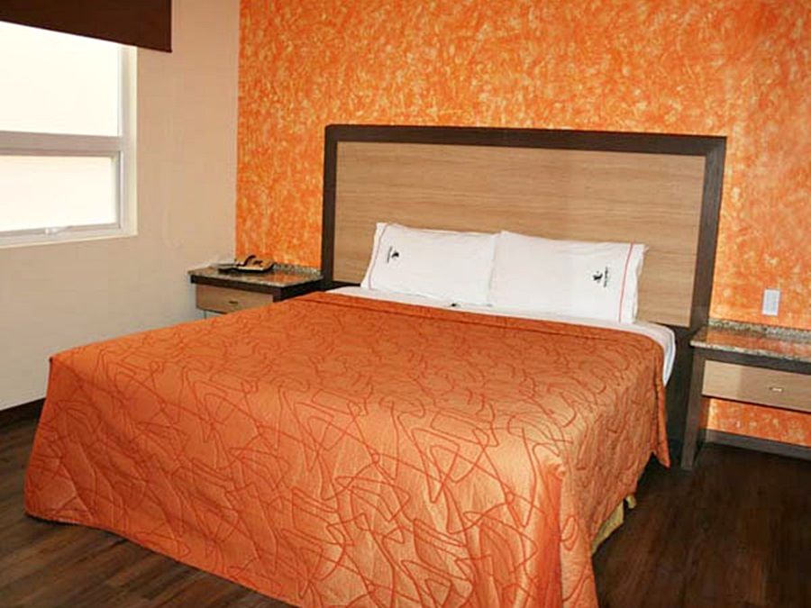 Mx Garibaldi 4*