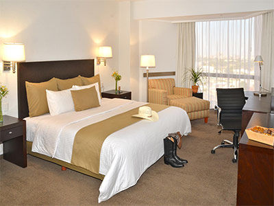 Mision Hotel Torreon