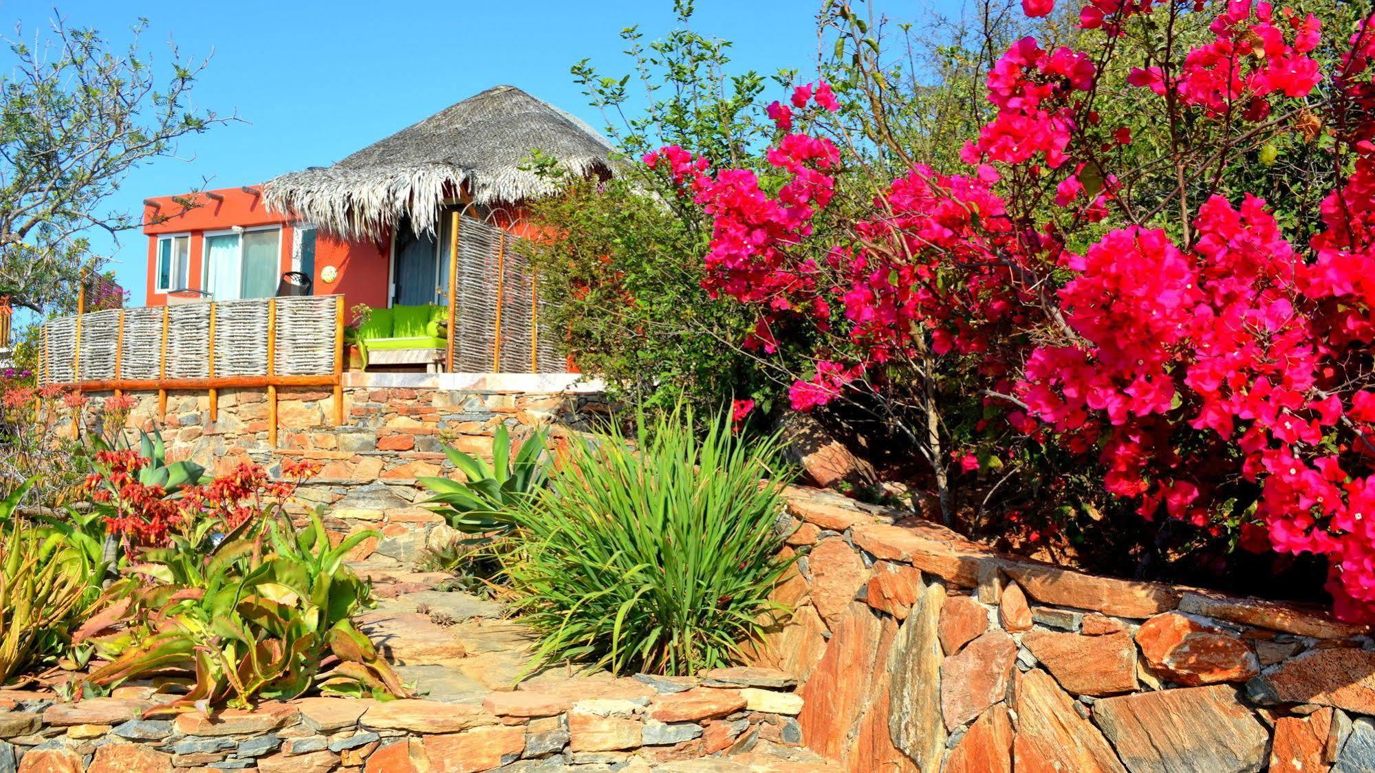 Hotel Colibris Casitas Todos Santos