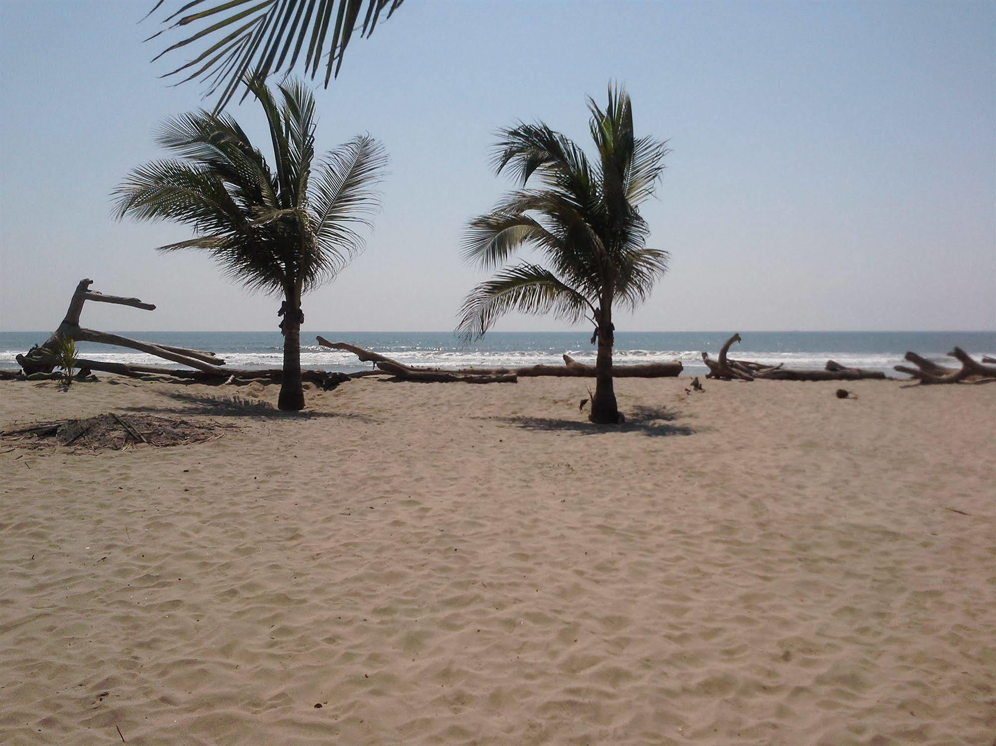 Bambuddha Centro Holistico Guest house