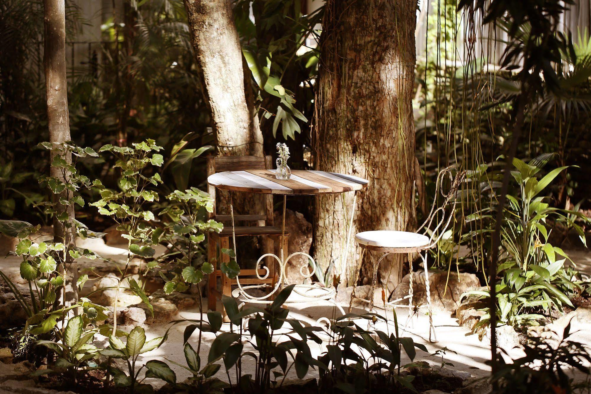 Hotel La Semilla A Member Of Design (adults Only) Playa del Carmen