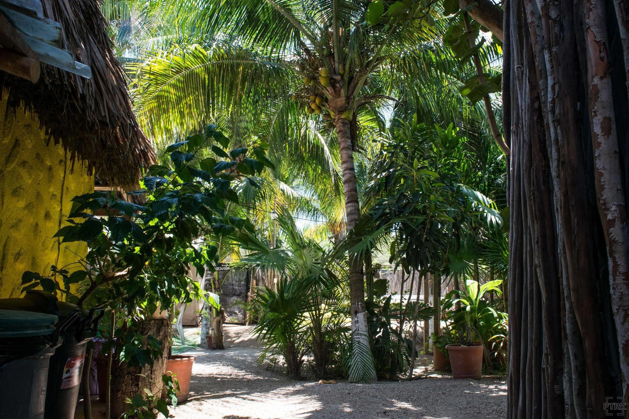 Casa Maya