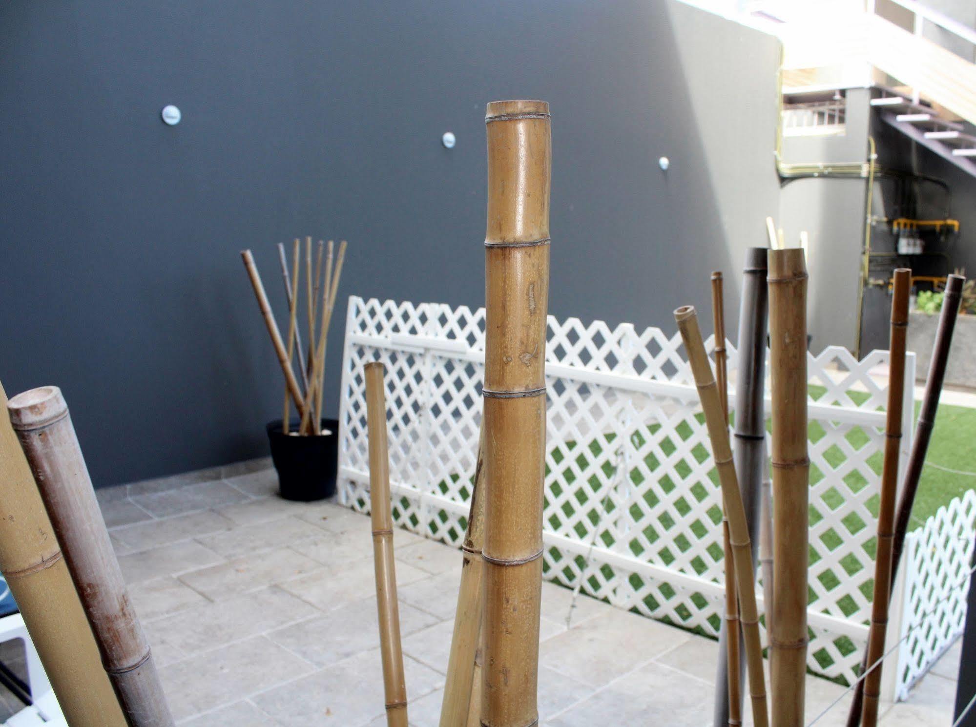 Iris & Apartment Playa del Carmen