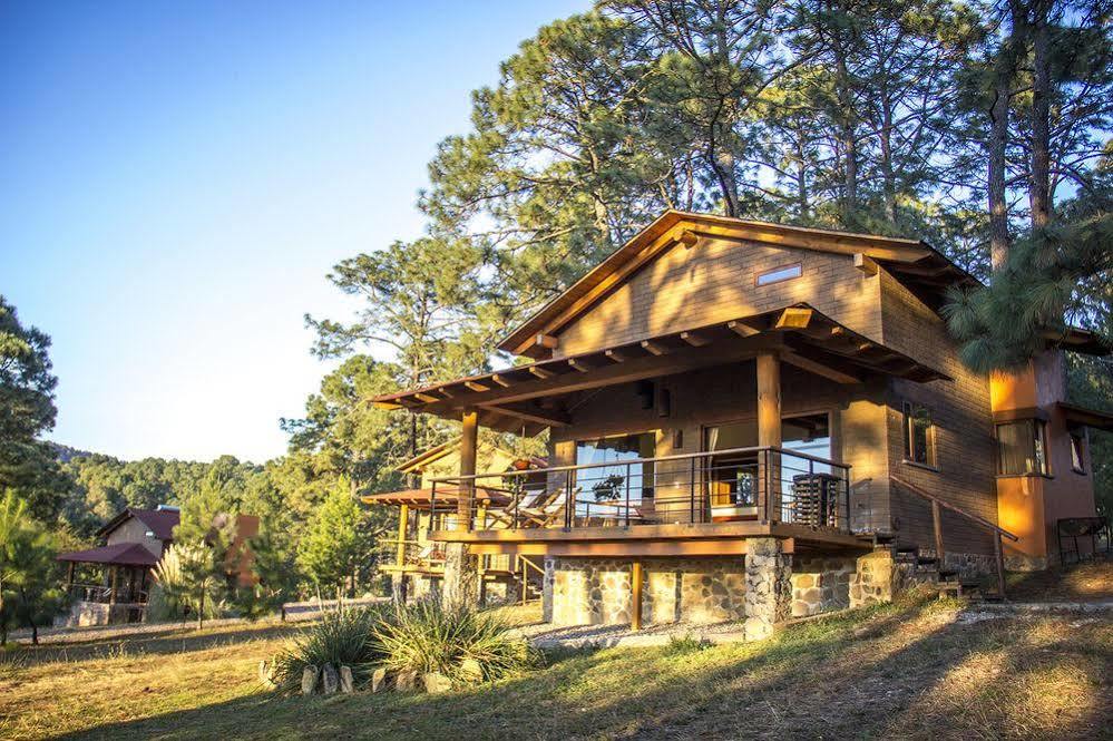 Monterra 3*