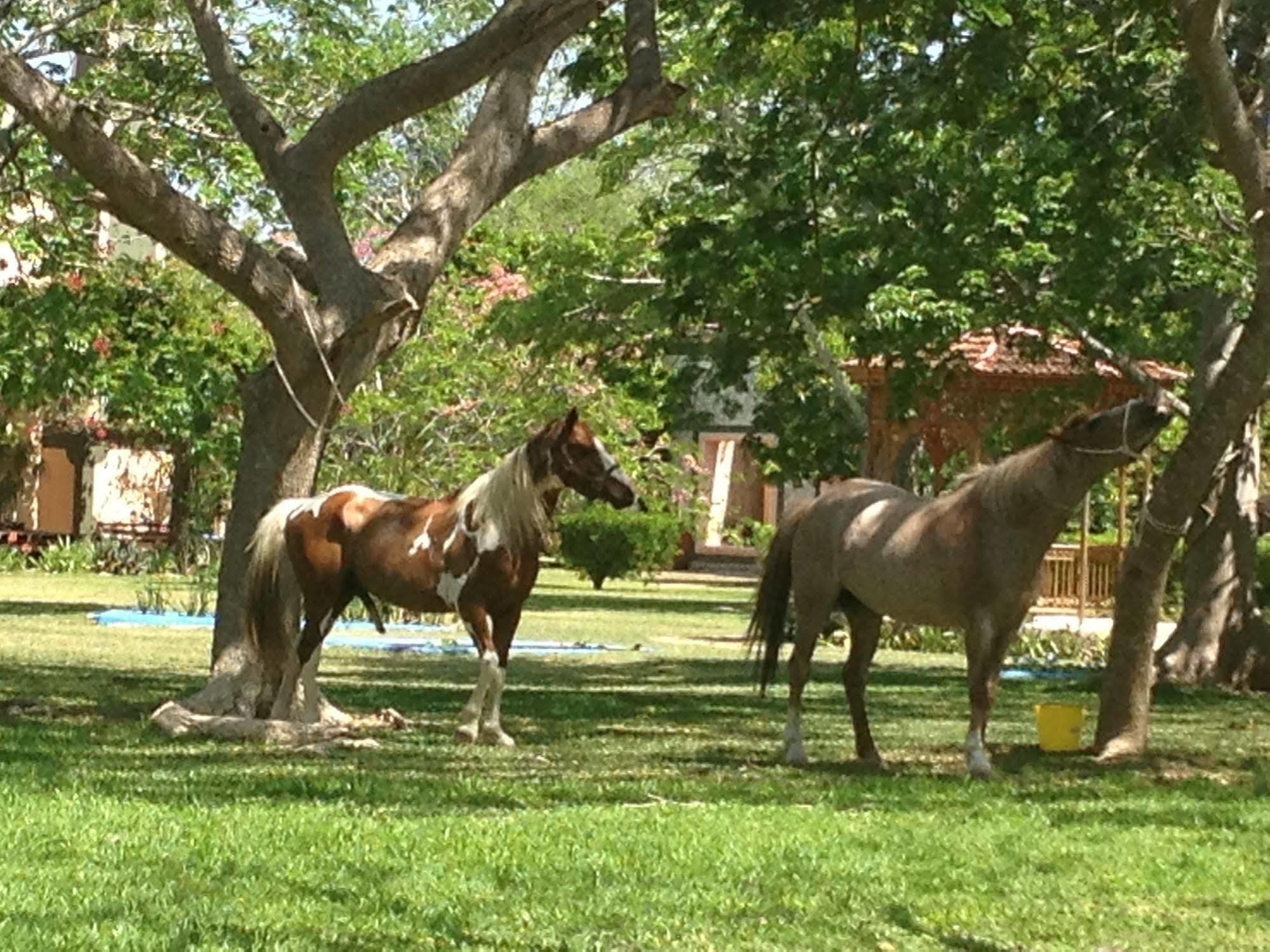 Hacienda San Francisco Tzacalha