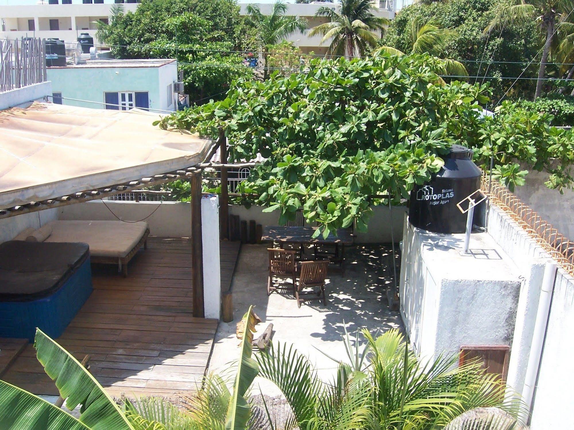 Elements Of The Island *