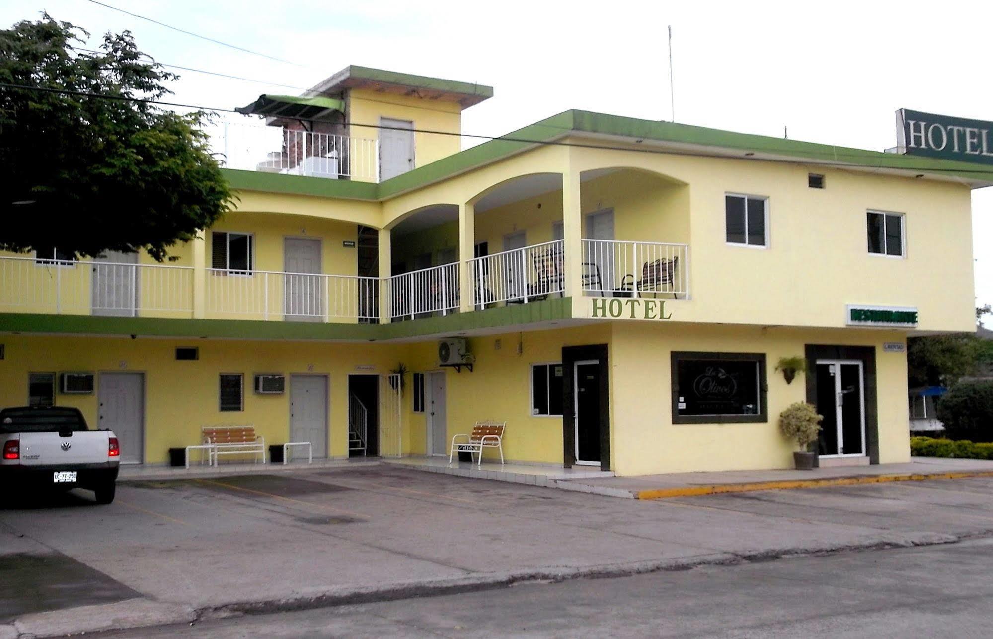 Olivos Los Mochis