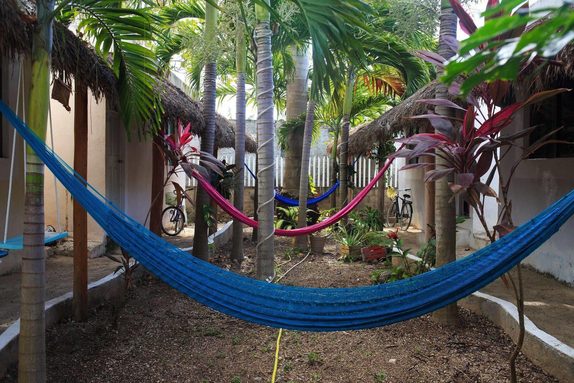 Apartment Casa Frida Full *