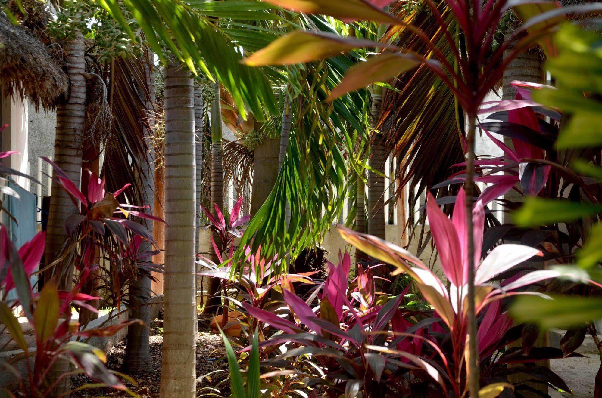 Apartment Casa Frida Full