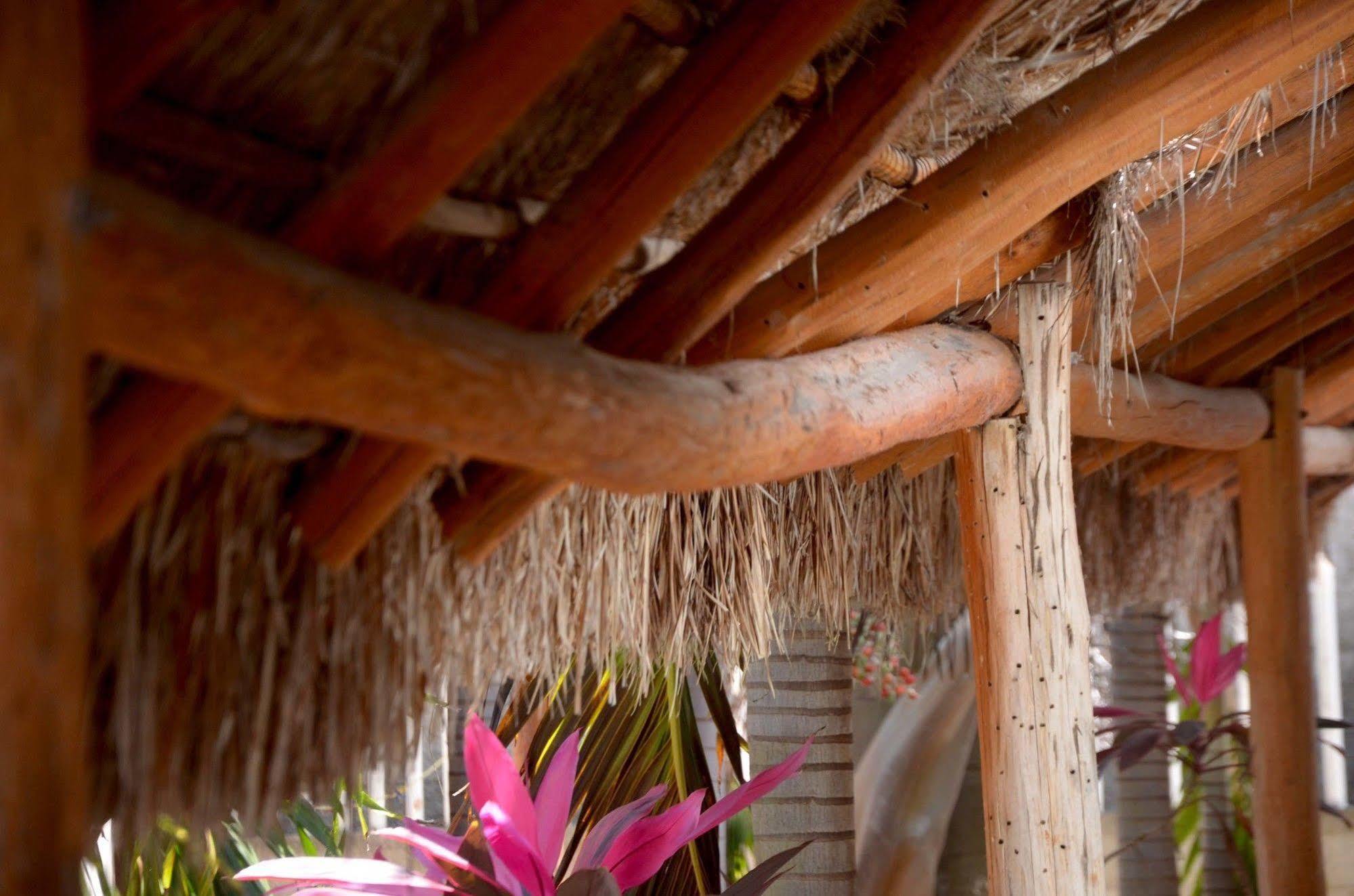Apartment Casa Frida Full *