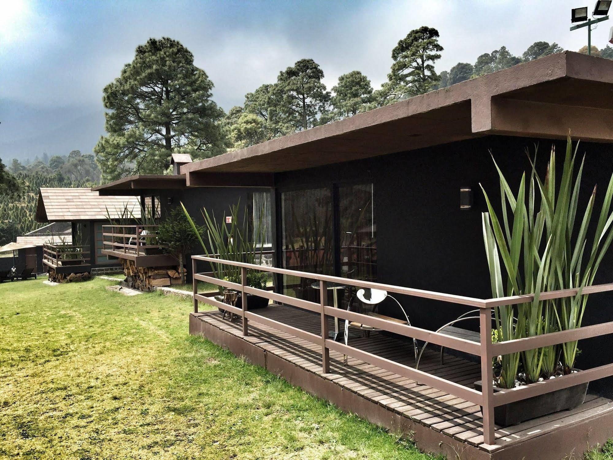 Hotel Organico Boutique