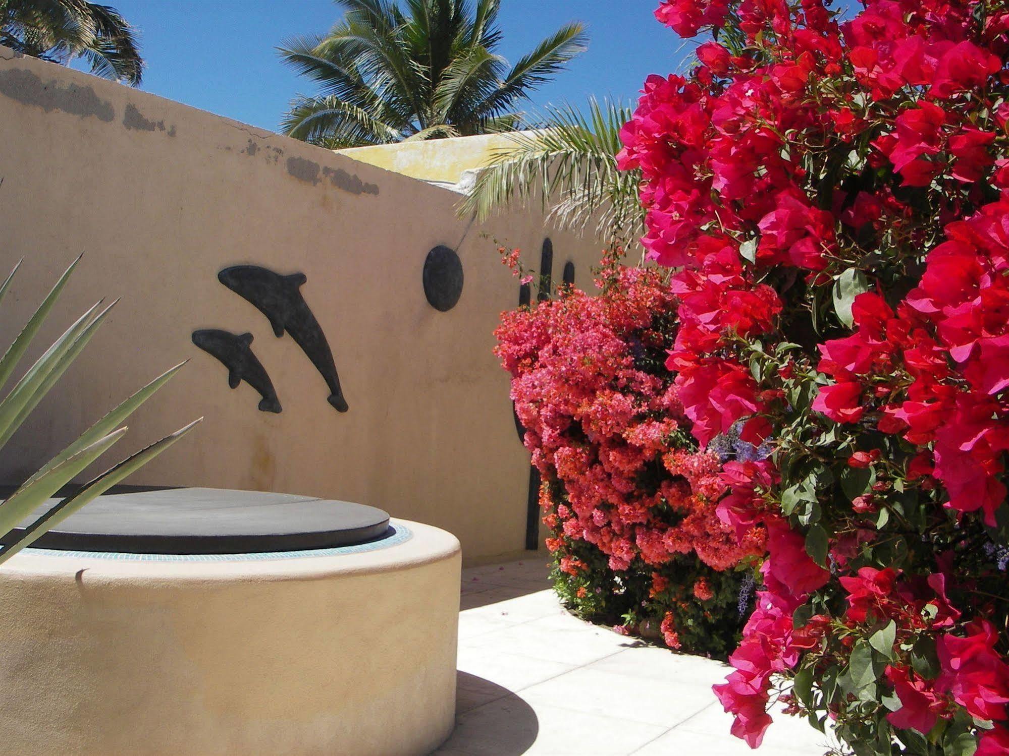 Casa Kootenay Waterfront Bnb La Paz