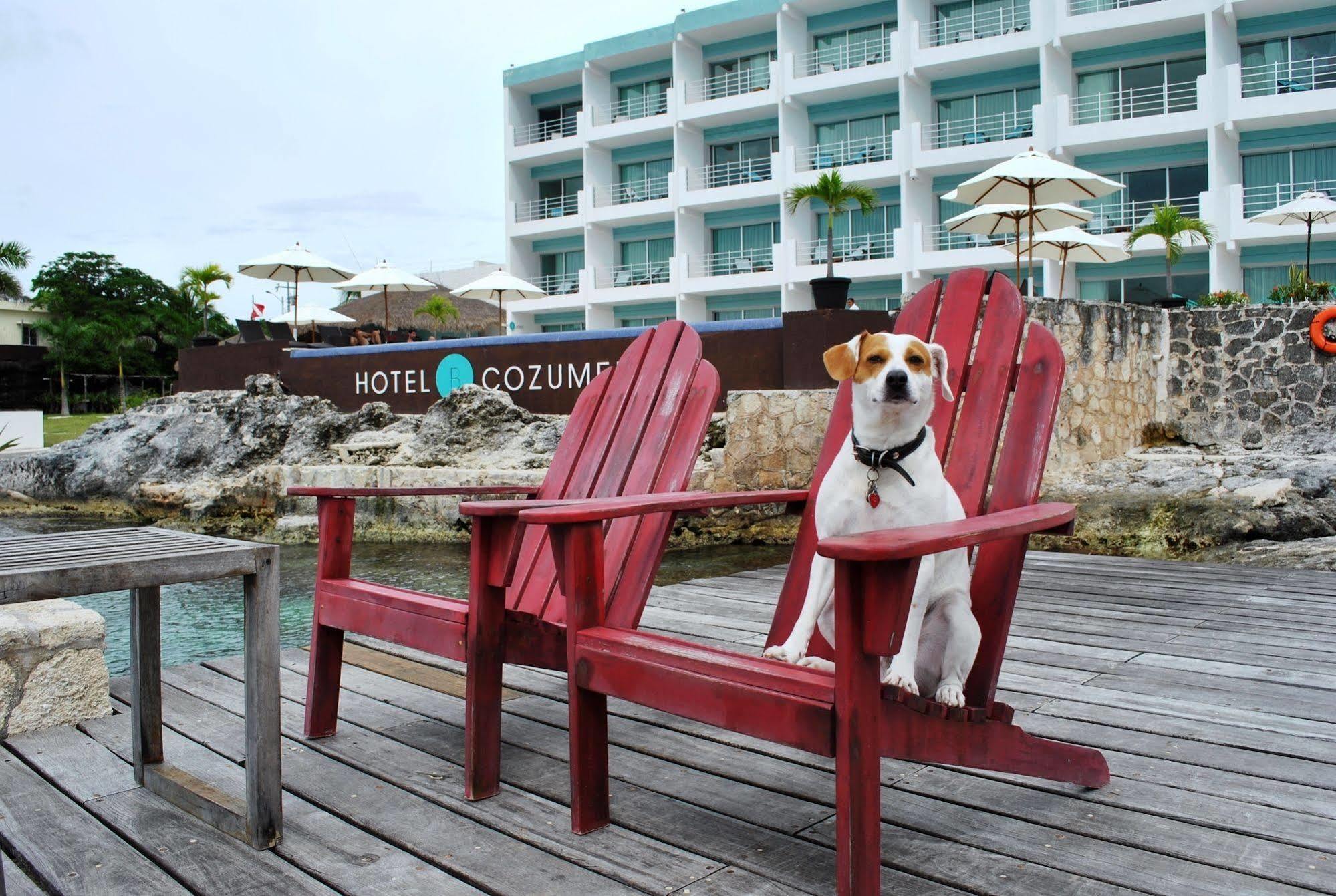 B 4* Cozumel