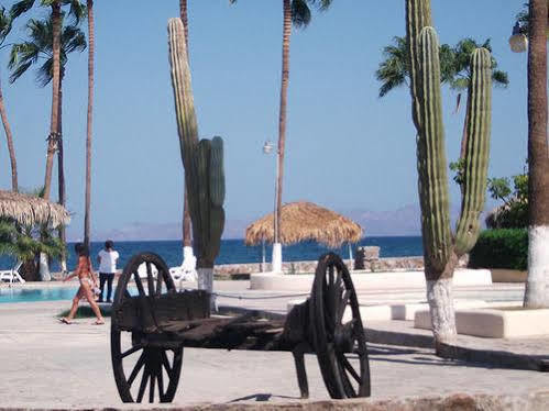 Desert Loreto 3*