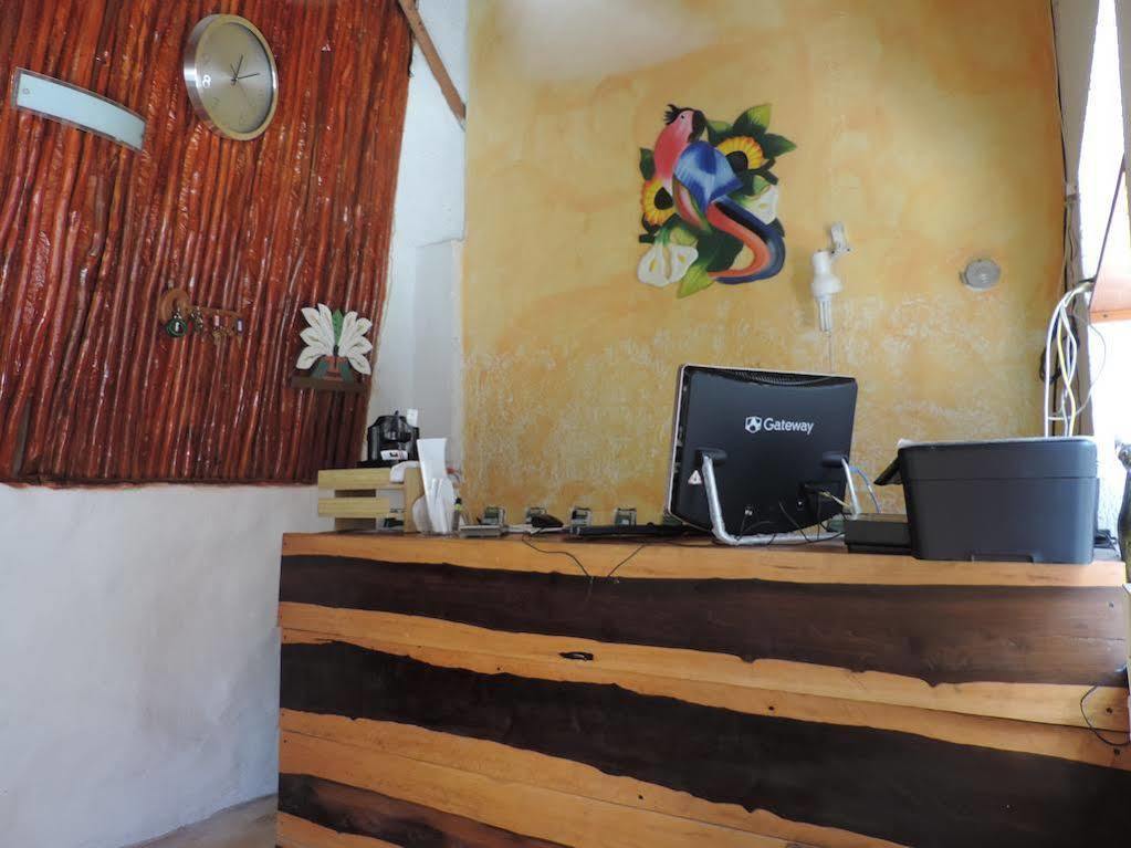 Golden Paradise Town 3* Isla Holbox