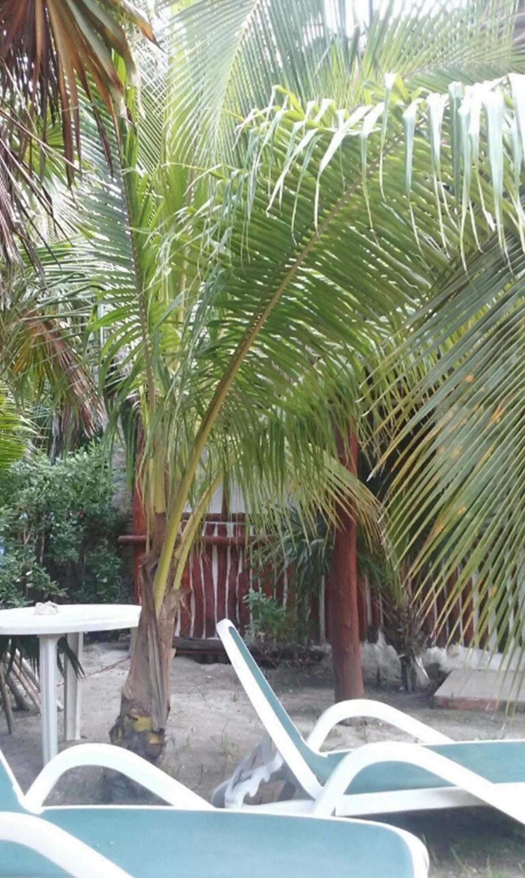 Golden Paradise Hostel