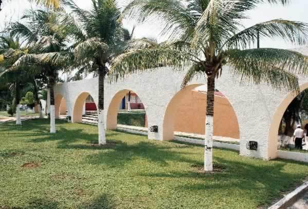Chachalacas
