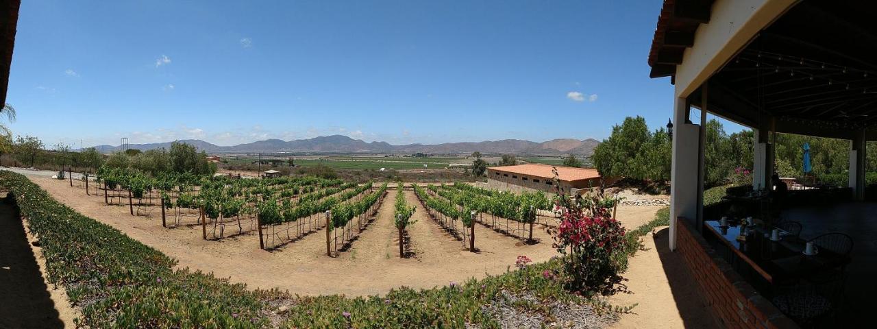 Hacienda 3* Valle de Guadalupe
