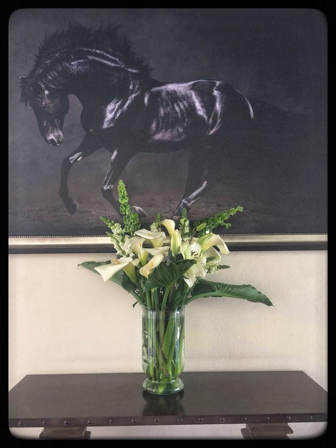 Boutique Rancho San Jorge