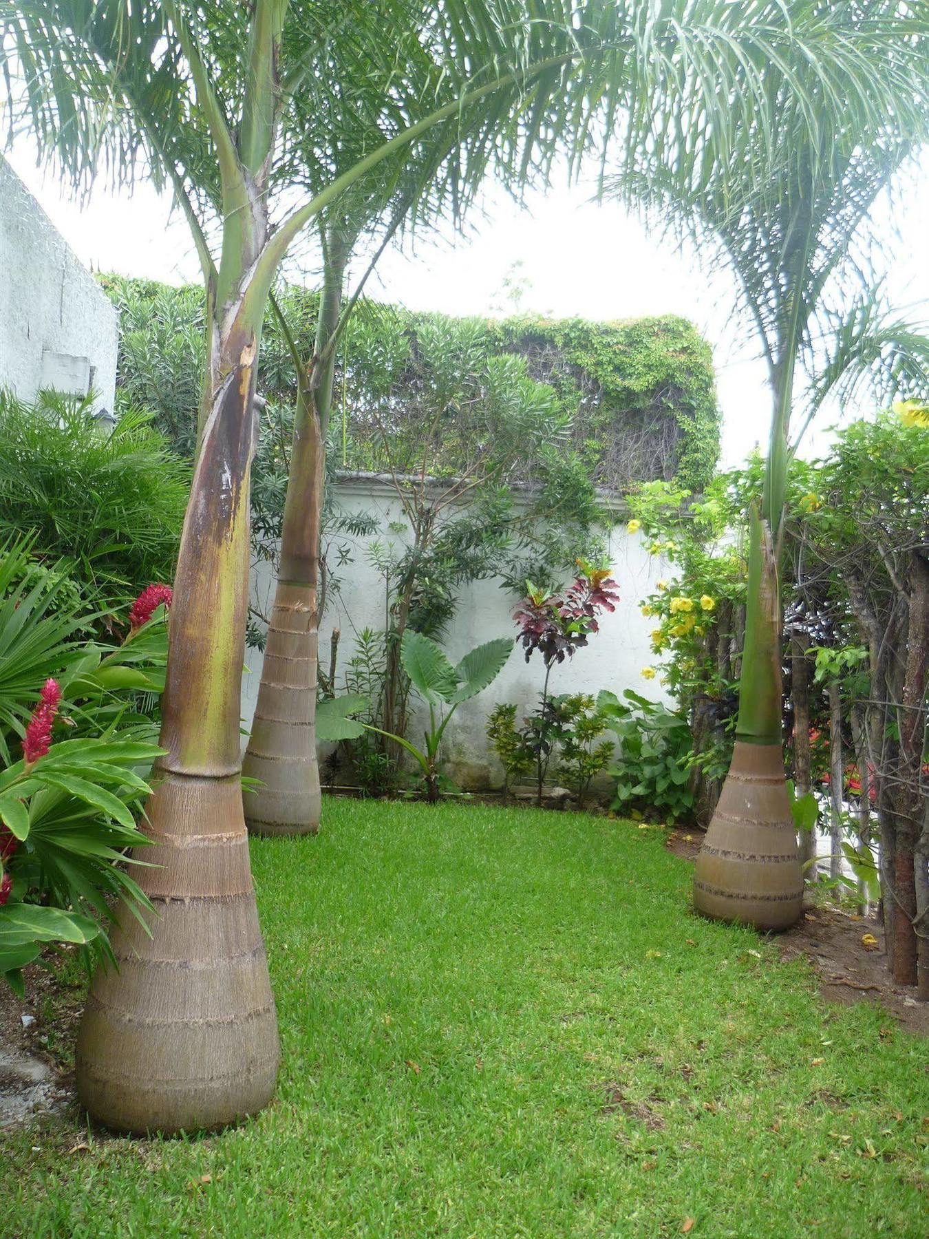 Hostal Haina Cancun