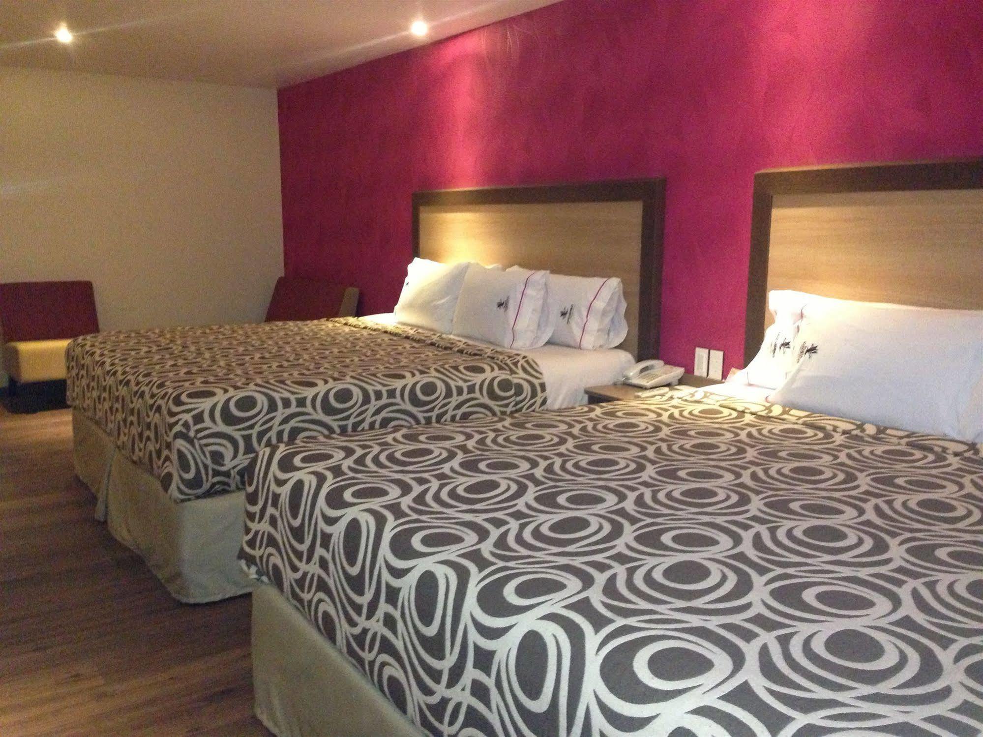 Mx Garibaldi 4*
