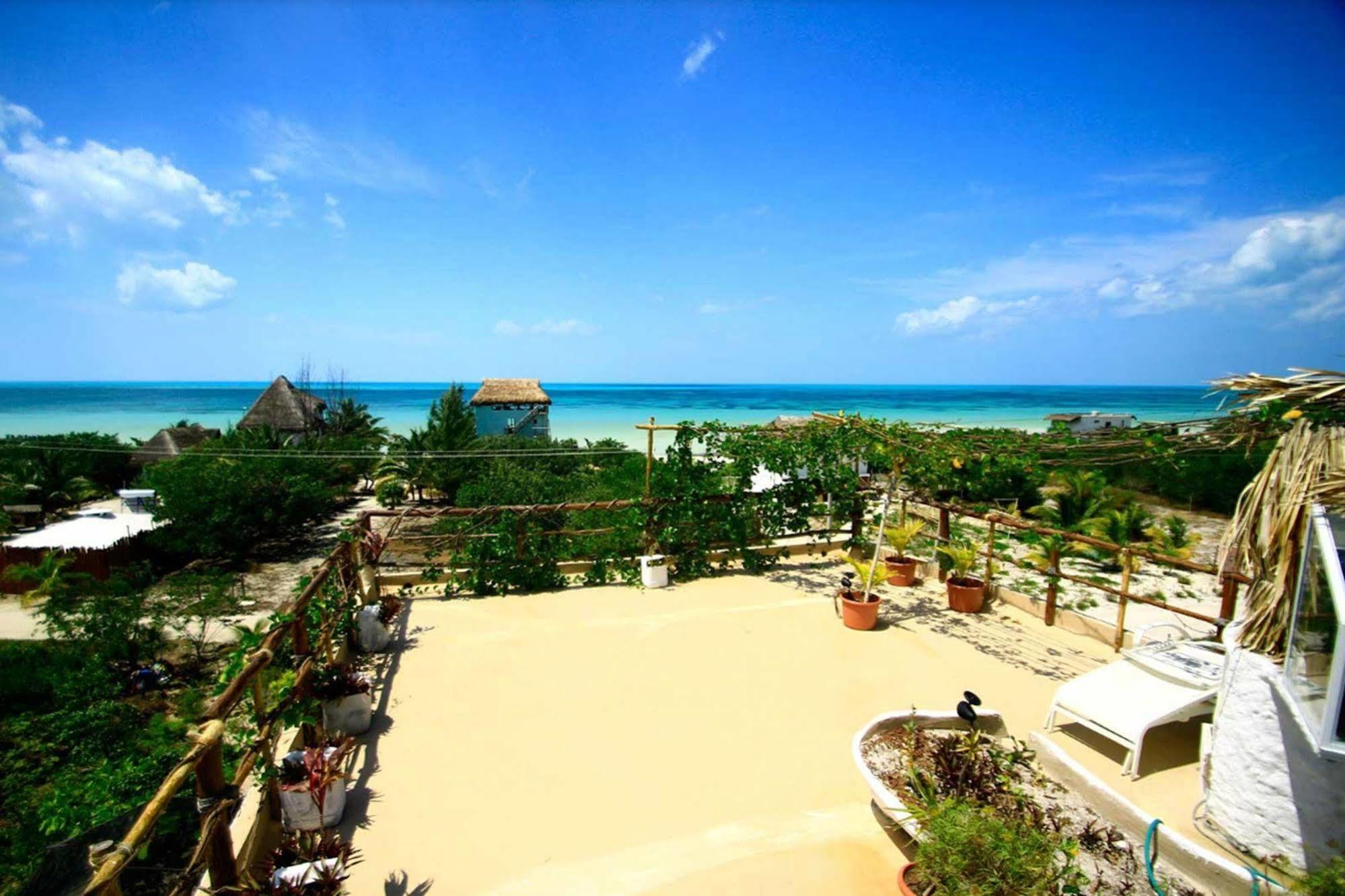 Blatha Tropical Isla Holbox