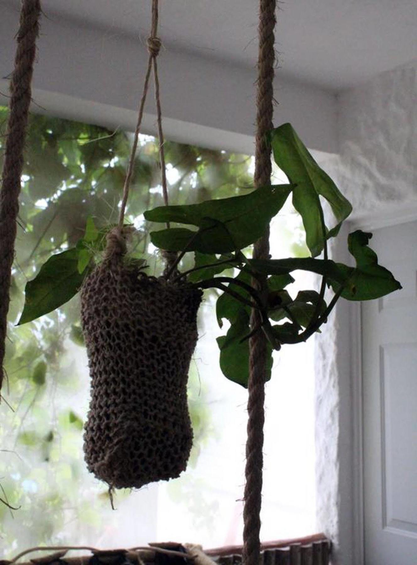 Apartment Blatha Tropical